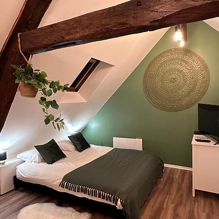 Le Nid Douillet - Hypercentre - Studio بوفيه المظهر الخارجي الصورة