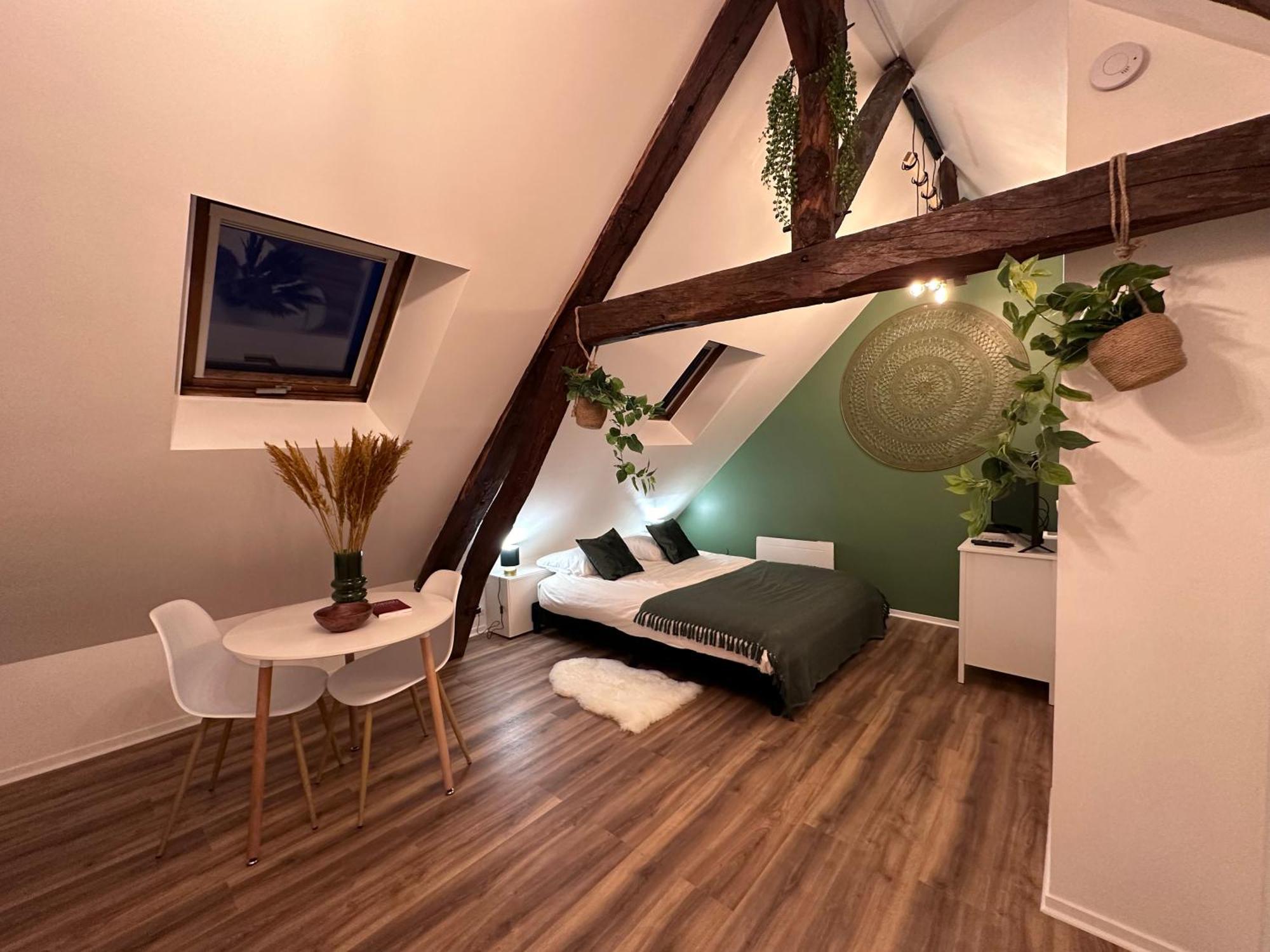 Le Nid Douillet - Hypercentre - Studio بوفيه المظهر الخارجي الصورة